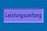 Leistungsumfang