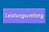 Leistungsumfang